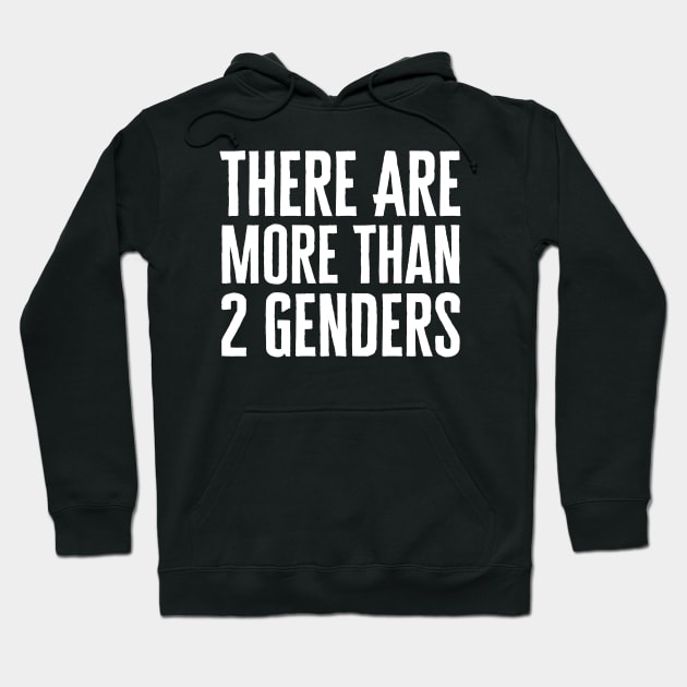 There Are More Than 2 Genders Hoodie by HobbyAndArt